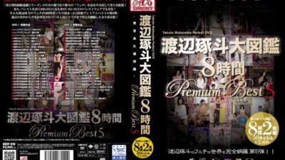 AVSP-016 Watanabe Migakuto Encyclopedia 8 Hours Premium Best 5